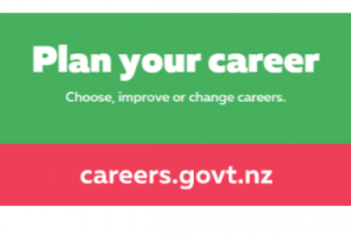 Careers govt
